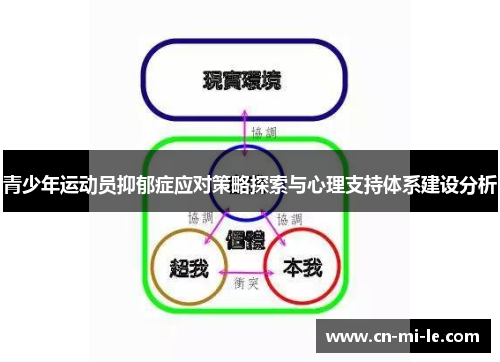 青少年运动员抑郁症应对策略探索与心理支持体系建设分析