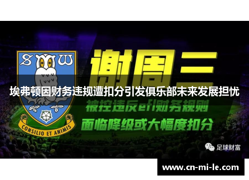 埃弗顿因财务违规遭扣分引发俱乐部未来发展担忧